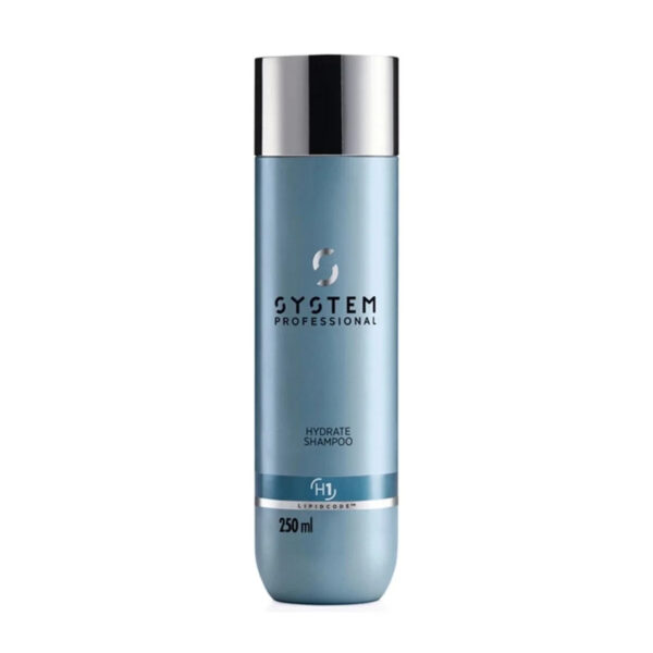 System Professional Hydrate Saç Şampuanı 250ml 4064666000596